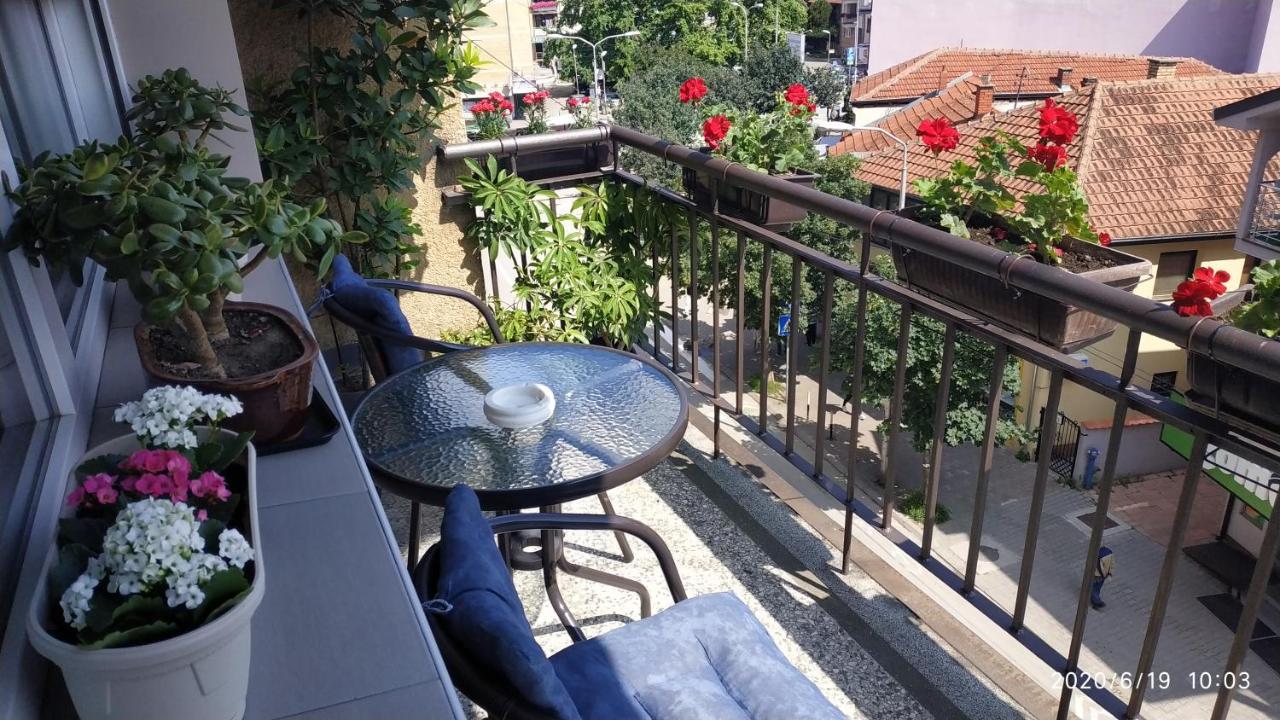 Apartman Rada Pirot Eksteriør billede
