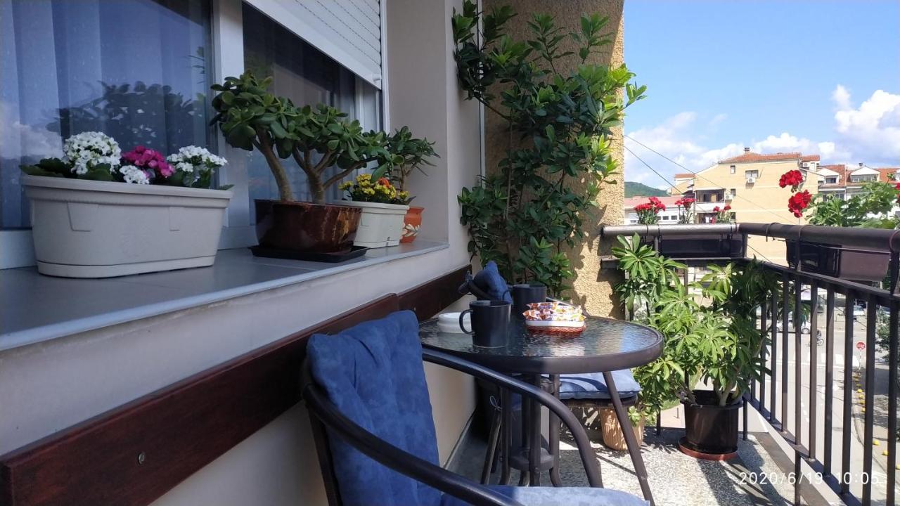 Apartman Rada Pirot Eksteriør billede